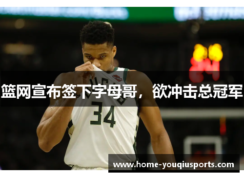 篮网宣布签下字母哥，欲冲击总冠军